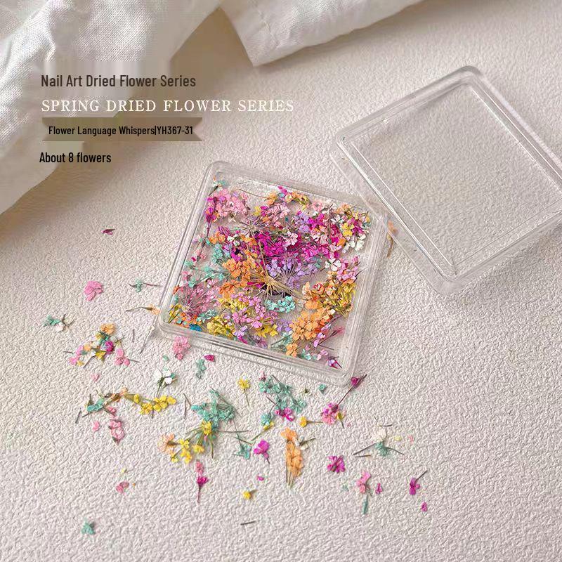 

Monet Garden Mixed Dried Flower Nail Decor Set