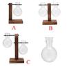 Decoration Terrarium Tabletop Planter Wooden Frame Flower Pot Hydroponic Plant Vases Glass Vase