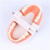 Montessori Educational Toys For Children Early Learning Kids Intelligence Brushing Tooth Teaching Aids Simulated Practical Lifet