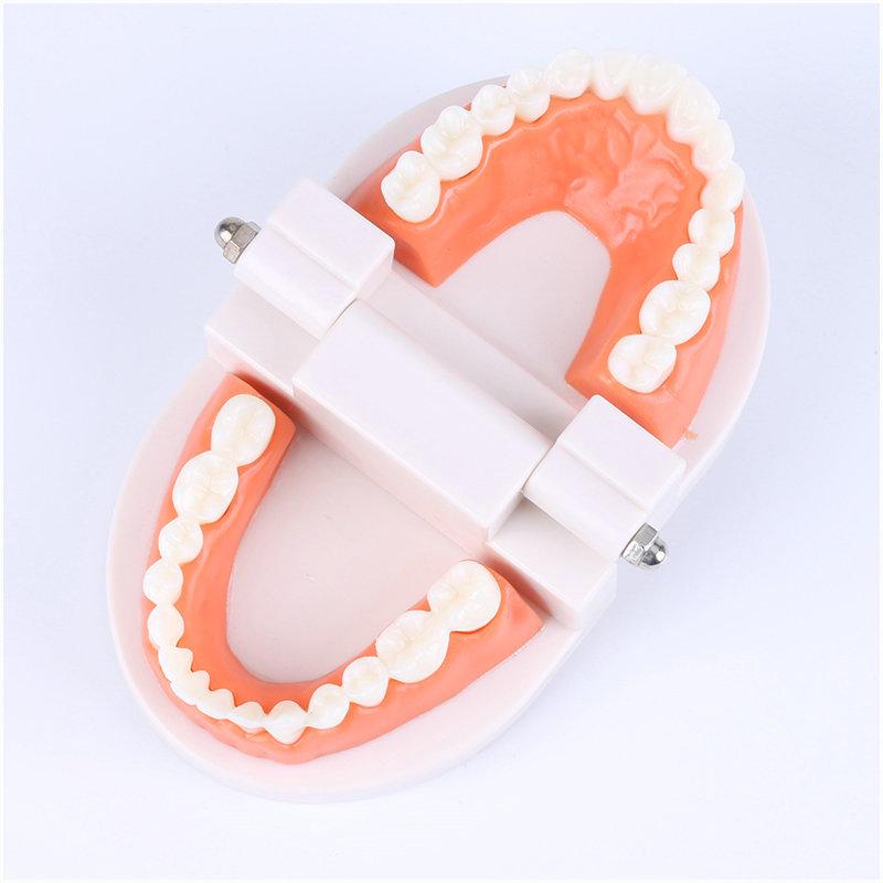 Montessori Educational Toys For Children Early Learning Kids Intelligence Brushing Tooth Teaching Aids Simulated Practical Lifet