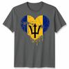 Love Barbados Flag Barbadians Day Football Unisex Cotton Tshirt Bajan Pride Gift