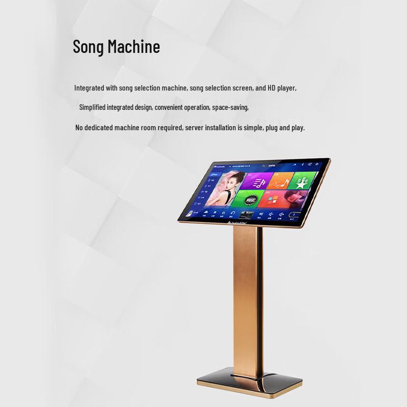 Runpu KTV Audio System with Conference Sound (CN version)