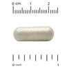 Brain Health with Alpha-Glycerophosphorylcholine, Calcium, Phosphorus and Phosphatidylserine, 60 Veggie Capsules