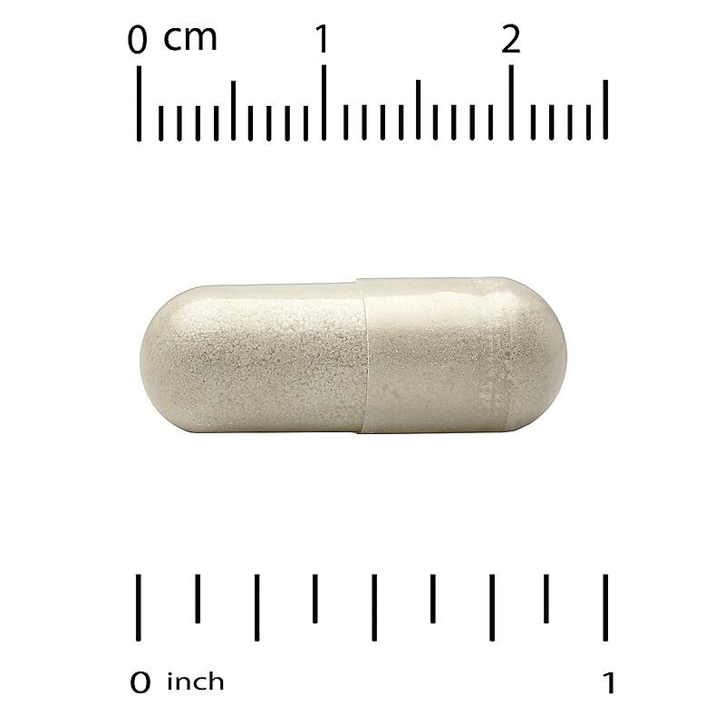 Brain Health with Alpha-Glycerophosphorylcholine, Calcium, Phosphorus and Phosphatidylserine, 60 Veggie Capsules