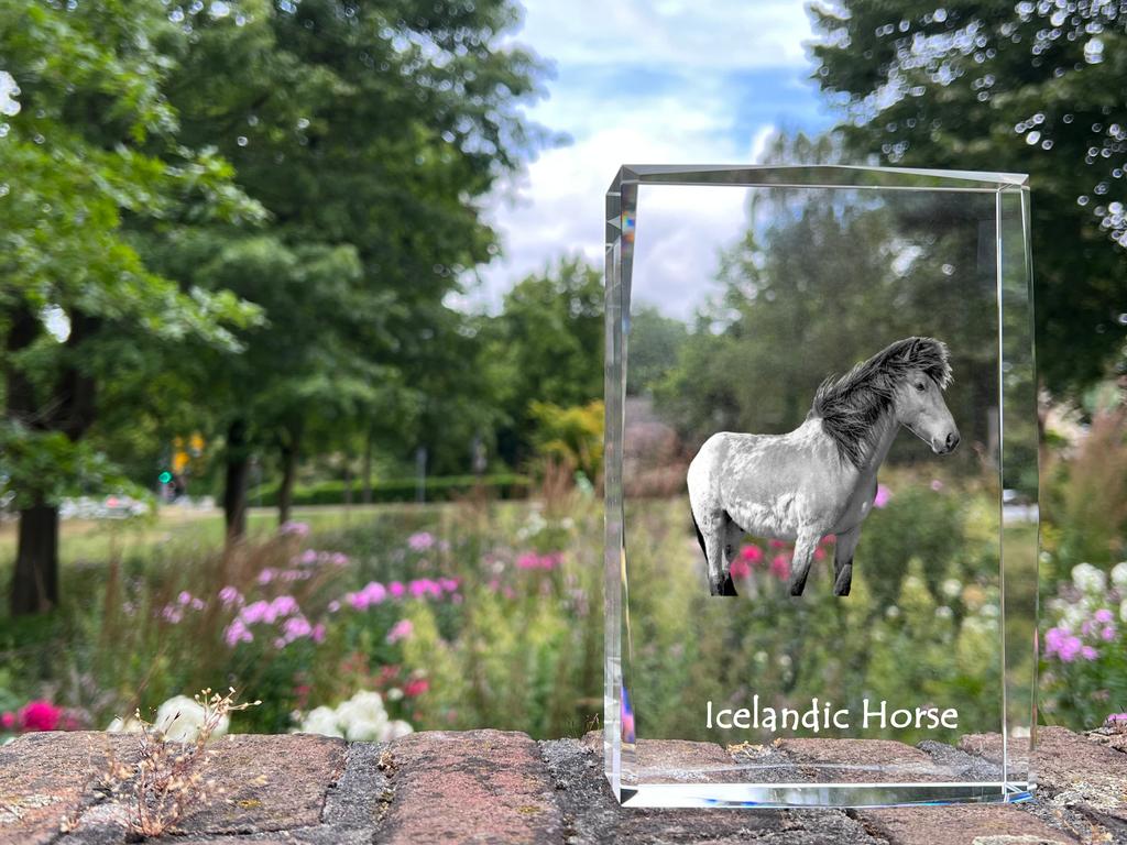 Icelandic Horse – Crystal with a picture of a horse, photo in glass | Art-Dog