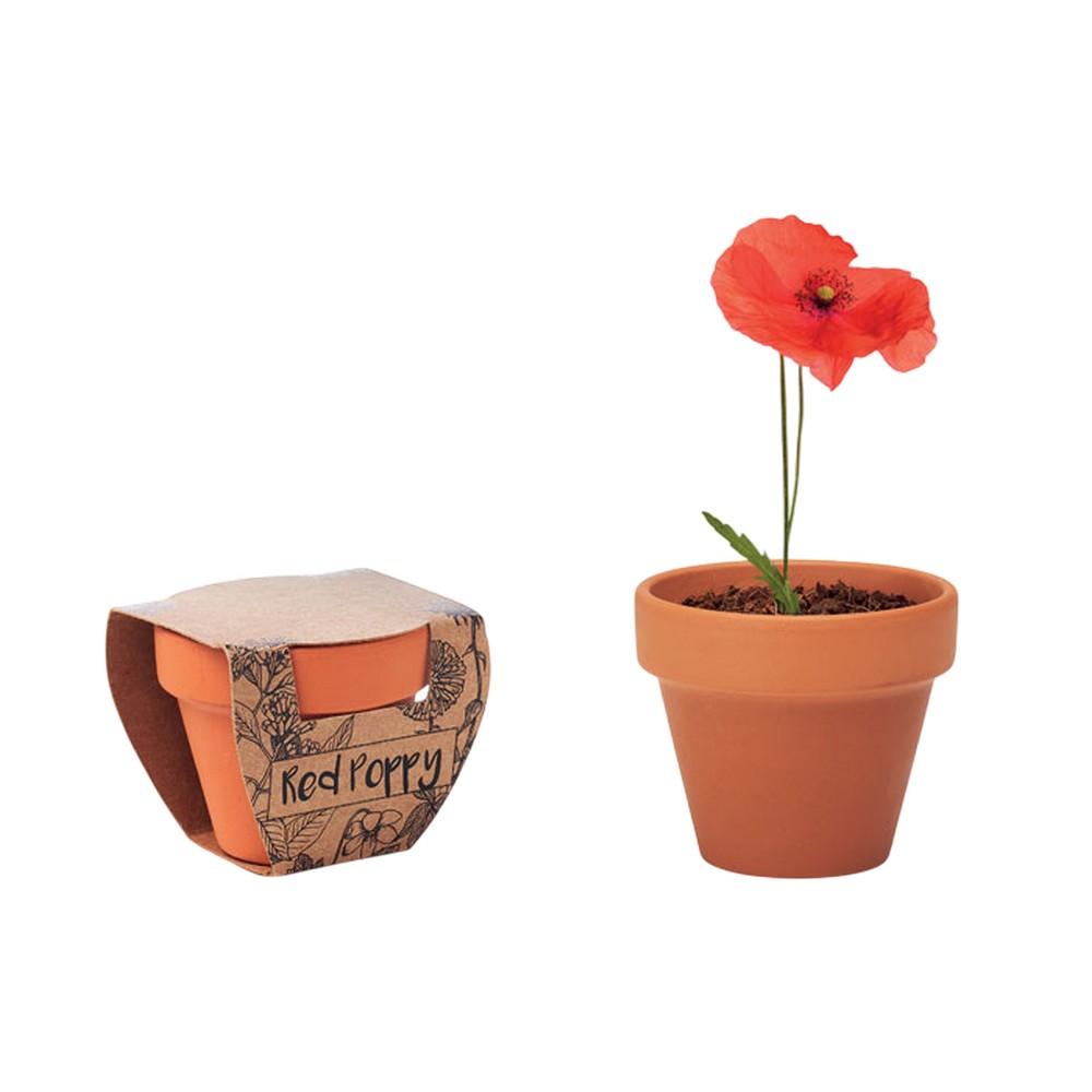 MidOcean Red Poppy Terracotta Seed Plant Pot