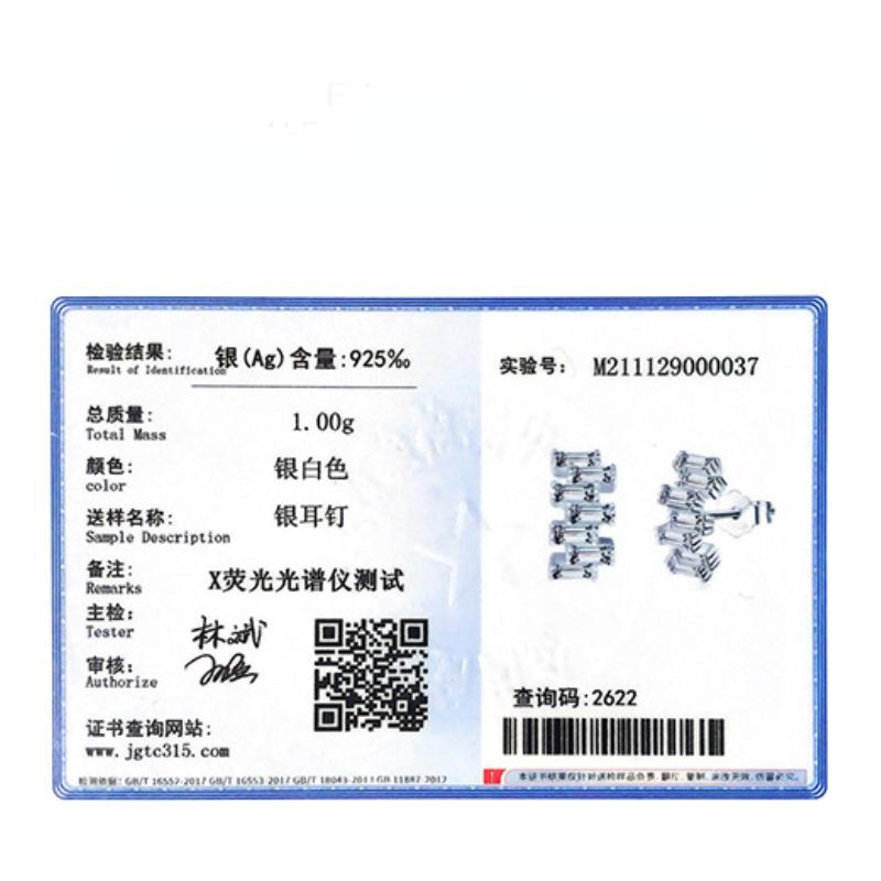 Tancise 925 Sterling Silver Zircon Earrings Drop Earrings For Women Wedding Party Gifts