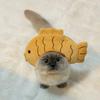 Little Fish Cat Hat, Pet Fashion and Versatile, Plush Head Cover, Cute Cat and Small Dog Universal Hat, Adorable Pets