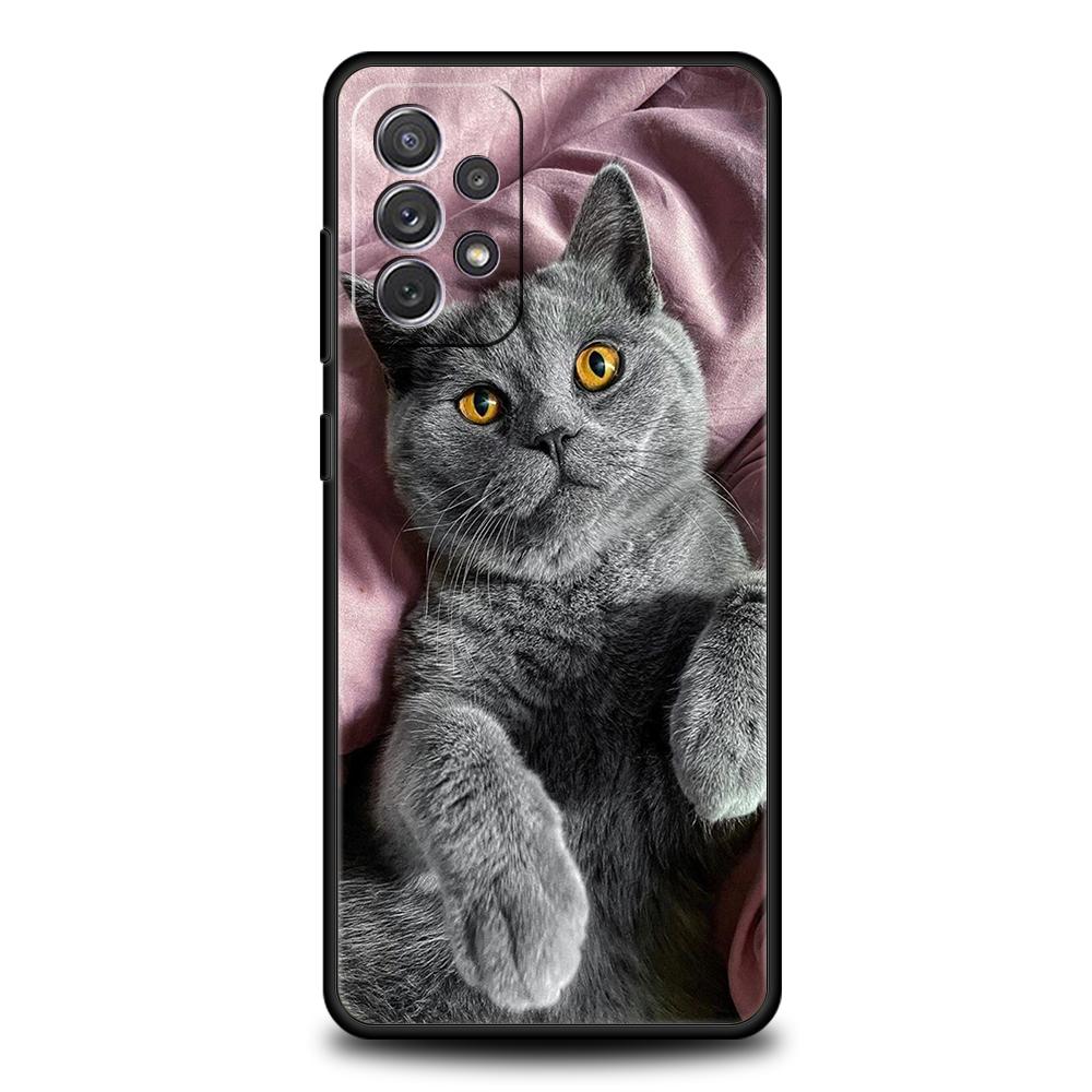 Britische Kurzhaarkatze Fall für Samsung A24 A12 A14 A32 A50 A70 A20E A20S A10 A10S A22 A30 A40 A34 A54 A42 A52 5G A04s A72 Abdeckung