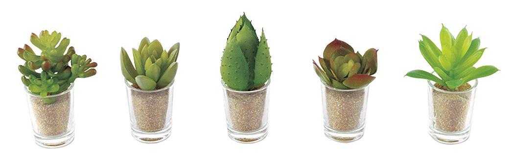 Kishima CT Catalyst Deodorizing Artificial Green Little Succulent Family KH-60989