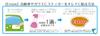 Exproud Rear Recording Illustration Fluorescent & Reflective M Sticker Sticker Sticker 7.9 x 2.0