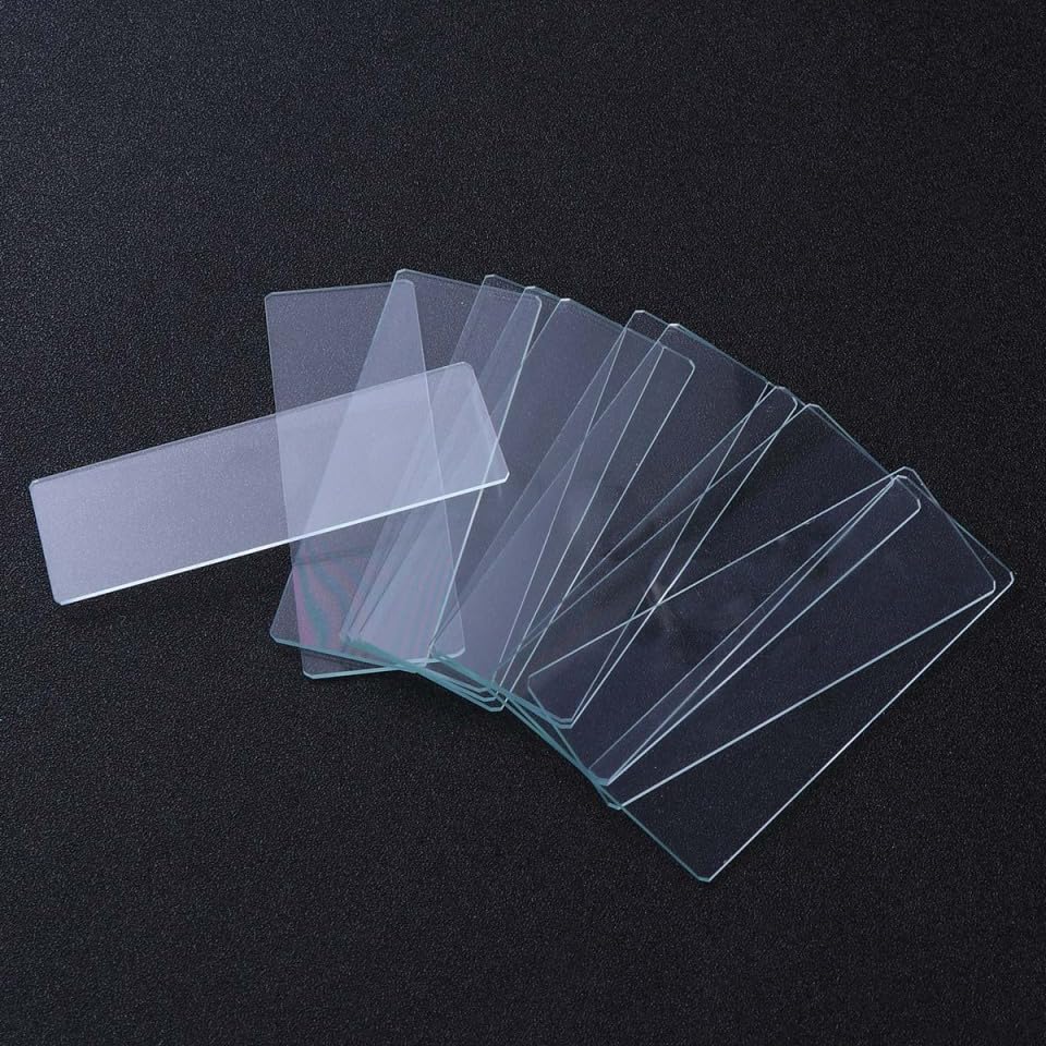 Set of 12 Microscope Glass Precision Optical for Specimen Biological Science and Observation X X Cm Slides, Polished, Glass, Preparation, Education,