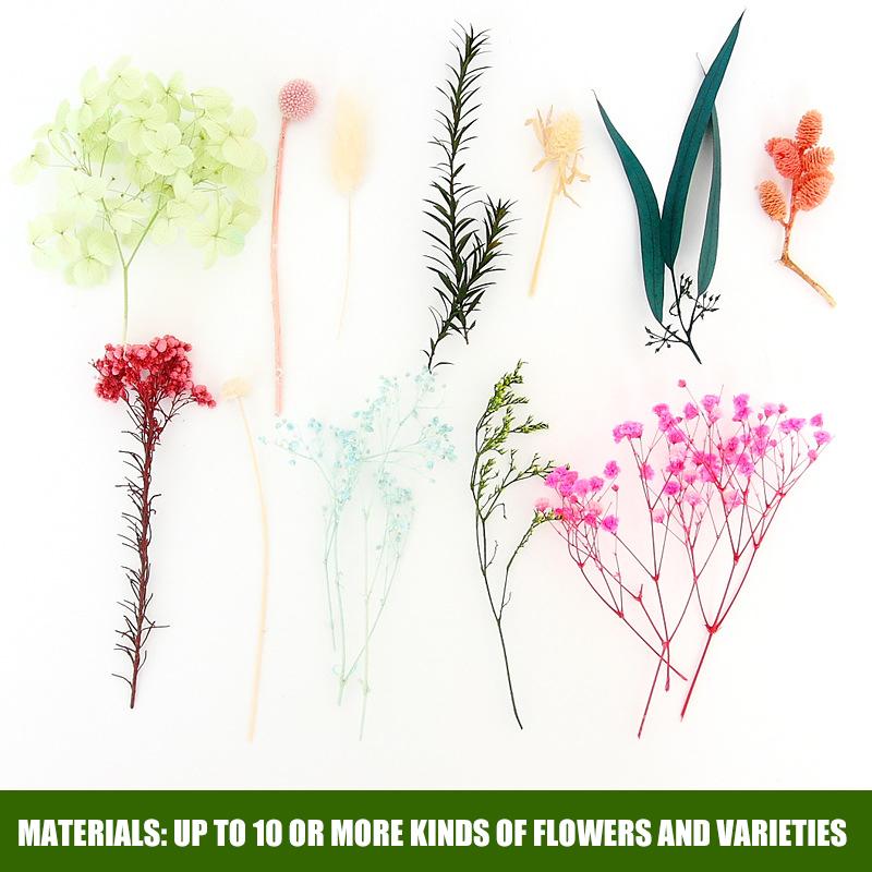 Real Dried Flowers Leaves Set Crafts Art Mixed Multiple Flower for Candle Resin for Jewelry Pendant Making Craft DIY Accessories