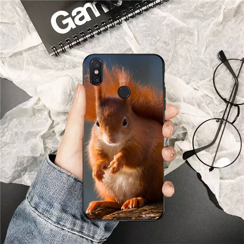 YNDFCNB Cute Animal Squirrel Customer Phone Case for Xiaomi Redmi 5 5Plus 6 6A 4X 7 7A 8 8A 9 Note 5 5A 6 7 8 8Pro 8T 9
