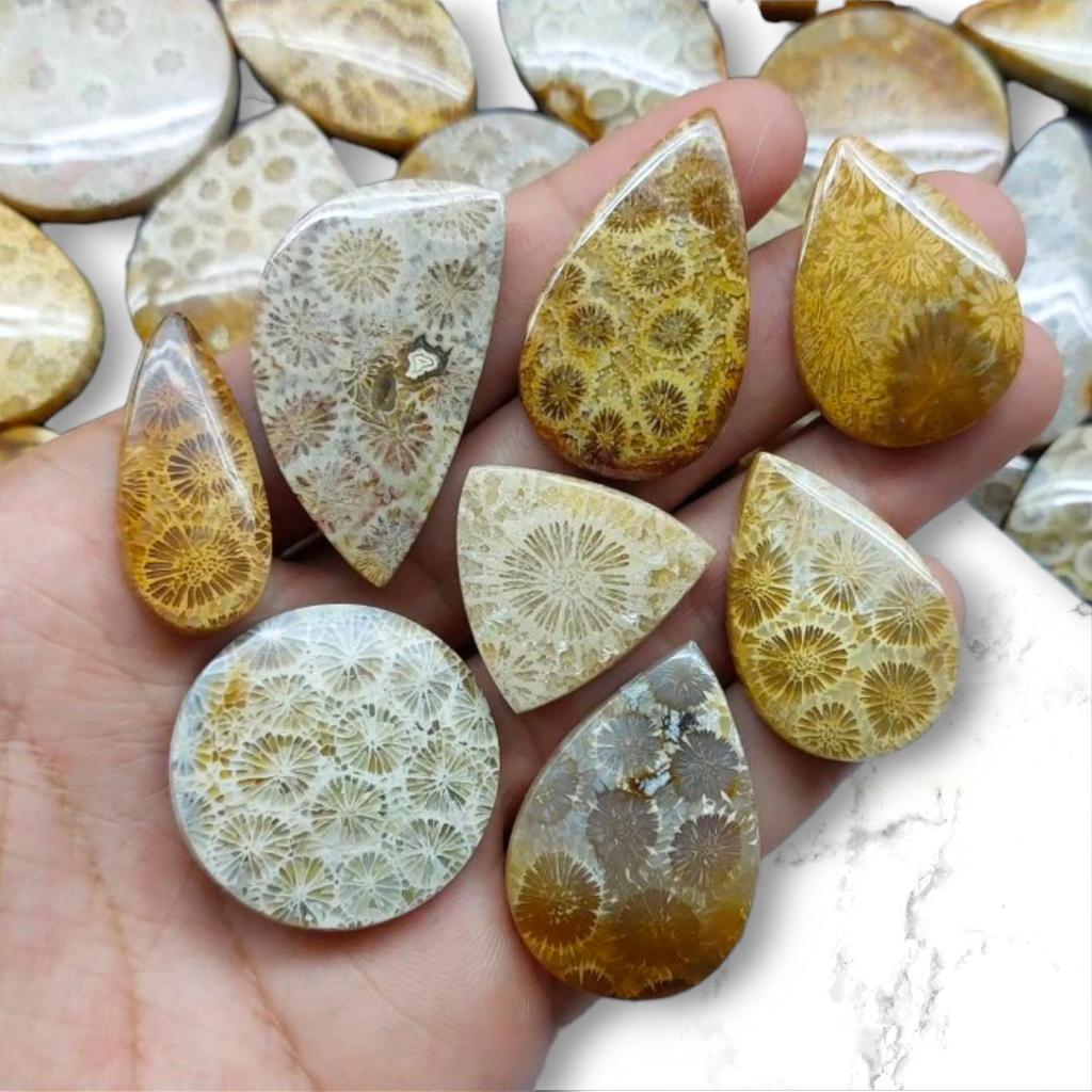 Designer Polished Natural Fossil Coral Cabochon, Loose Cabochon Lot, Mix Lot, Healing Gemstone Lot For Jewelry Making.