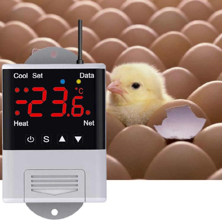 Termostato WIFI 110V-230VAC 10A Controller Digitale di Temperatura 2 Uscite