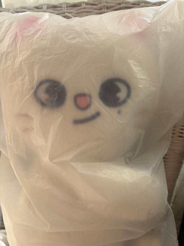 [USED] Straykids POPUP SKZOO Bag Ginillet