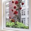 Romantic Red Rose Window Sticker Bathroom Door Glass Decoration Self-Adhesive Decal