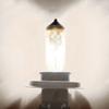 High Quality Super Bright White Halogen Light Bulb Headlights Auto Lamp Auto Accessories Car Head Light Replacement Bulb