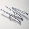 Set di Rivetti Aveugli in Alluminio con Testa Tonda e Anima in Ferro, 100 Pezzi, Argento