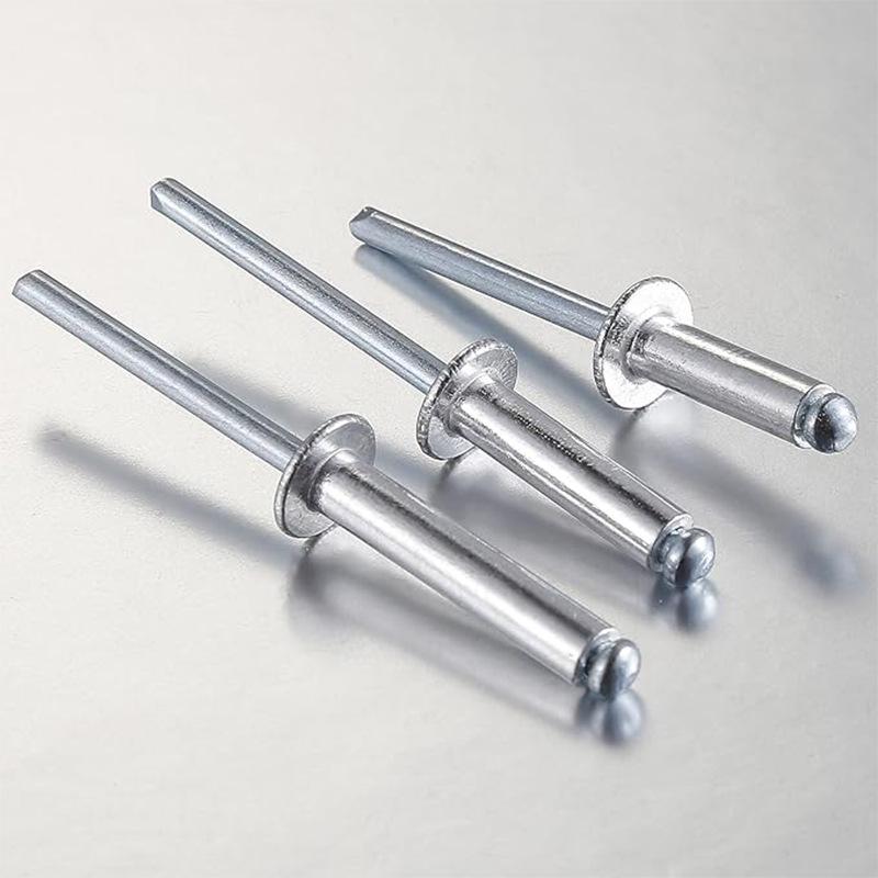 Set di Rivetti Aveugli in Alluminio con Testa Tonda e Anima in Ferro, 100 Pezzi, Argento