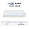 3.0Pro Memory Foam Pillow Adult Hotel-Style 3rd Gen Cervical Support Deep Sleep Sleep Aids with Moudou Pillowcase