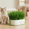 Removable Hydroponic Planting Tray Layered Design Nursery Pots Cat Grass Planter Box  Home Decor