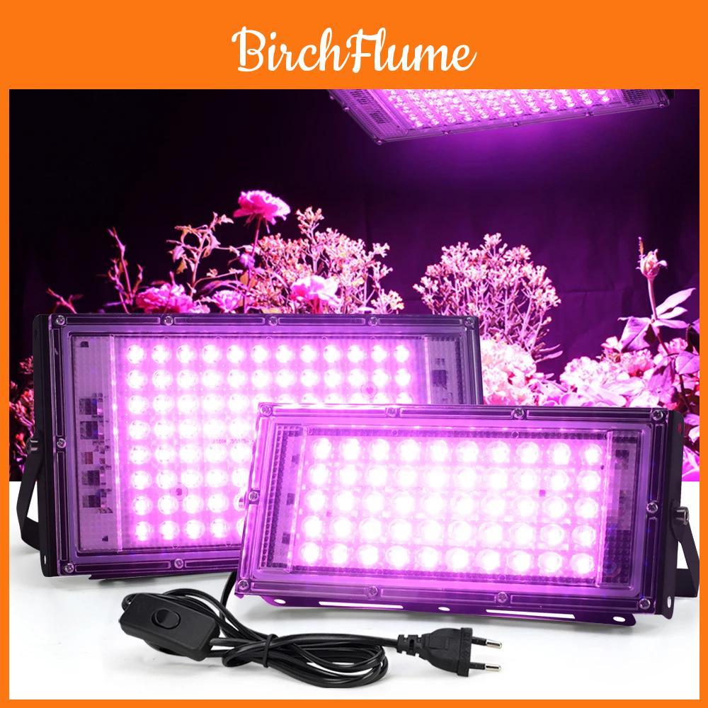 Luz LED de Crescimento de Espectro Completo Para Plantas de Interior Com Alta Eficiência e Design à Prova d'Água