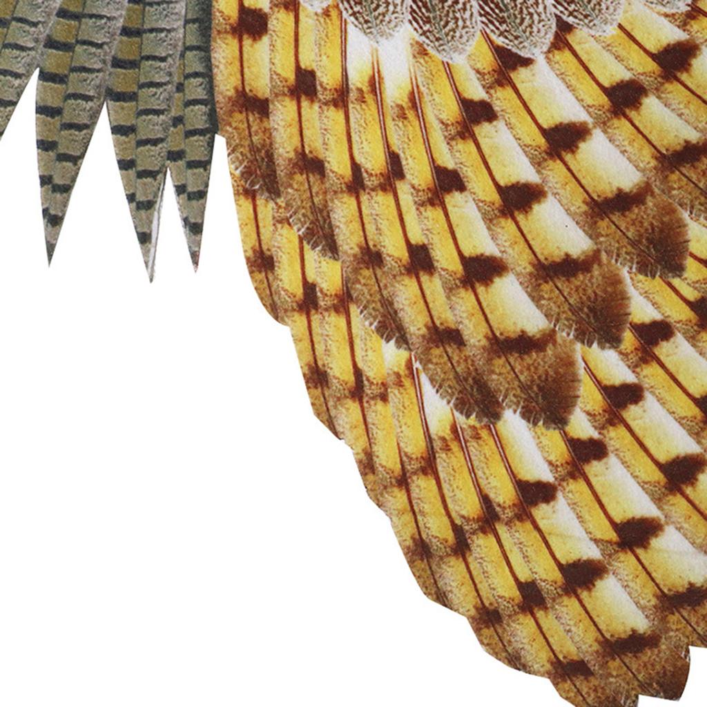 Owl Wing Owl Mask for Kid Boys Kindergarten Birds Costume Set Halloween Mask Halloween Dress Up Wing Party Favors
