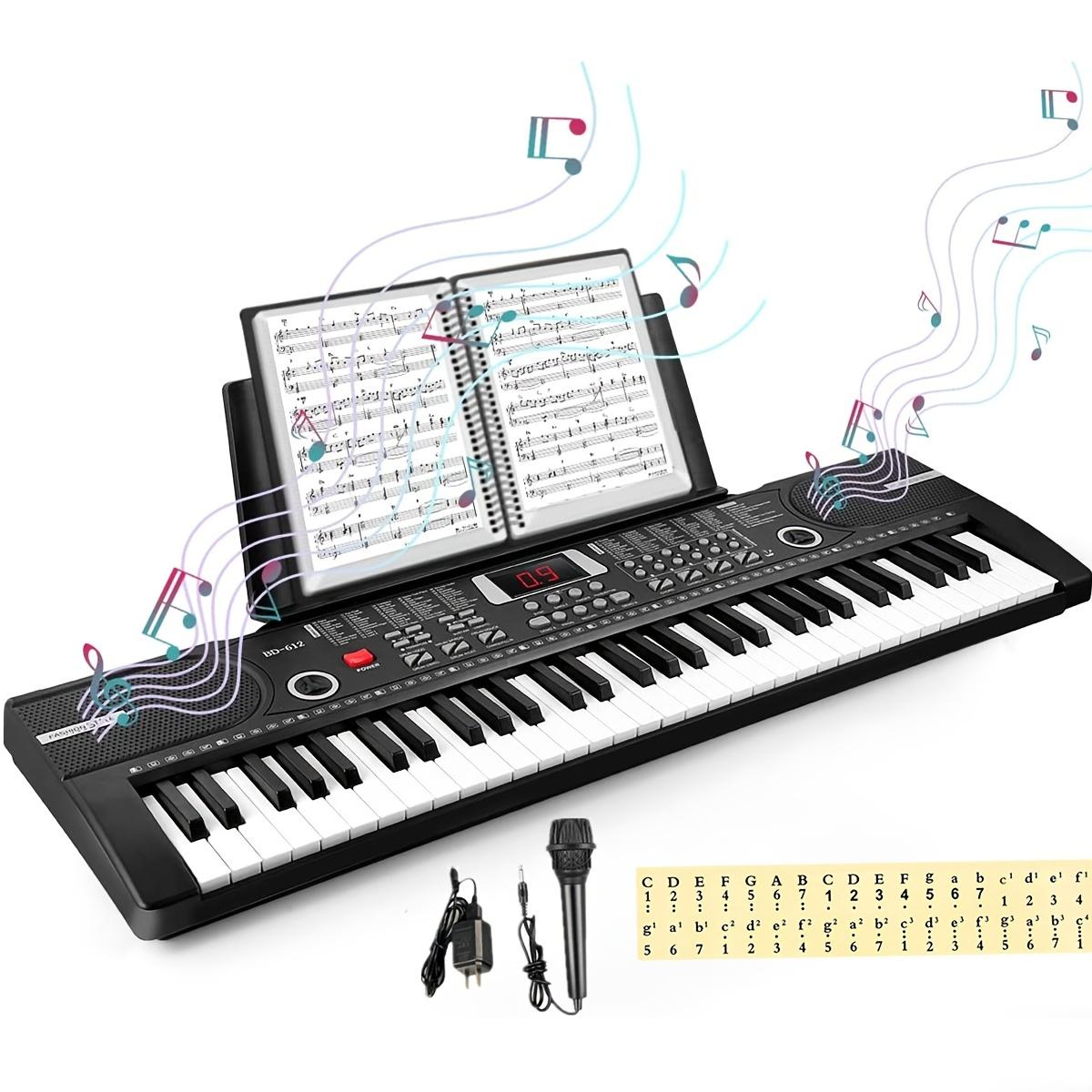 

61 клавишная клавиатура пианино, электронное числовое пианино, 2 динамика внутри, микрофон, zip-рамка, портативная клавиатура, подходит для начинающих