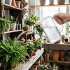 Large Capacity Watering Can Transparent Gardening Watering Bottle Watering Sprayer  House Plants