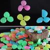 Glow-in-the-Dark Garden Stones Colorful Decorative Aquarium Pebbles Fish Tank Rocks 0.8-1.1cm Luminous Pebbles for Outdoor Walkway Aquarium Landscape