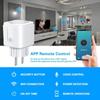 European Standard WiFi Smart Socket with Google Alexa/Alice Voice-Controlled Timing