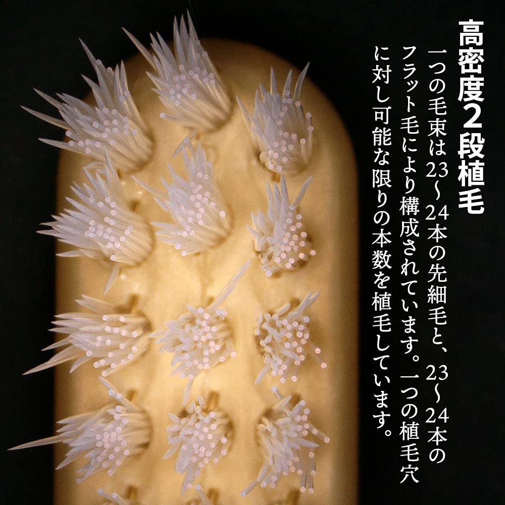 Life Range Easy-to-Brush ECO Extreme (Regular) 6-Pack [Designed by Shigeji Tanabe]