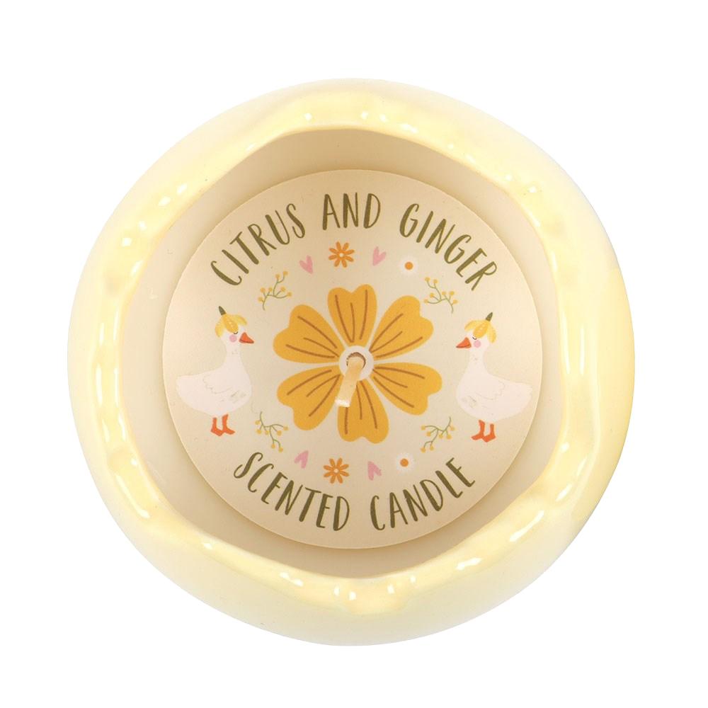 Something Different Citrus & Ginger Egg Shaped Scented Candle