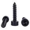 Grade 8.8 High Strength Black Hex Socket Self-Tapping Screw M2*M6 with Cylindrical Head