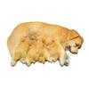Miniature Animal Resin Set Labrador And Puppy Figurine Garden Decor Ornament