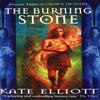 The Burning Stone by Kate Elliott Paperback Book 9781857239768