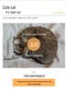 Universal Four-Season Pet Nest Dog Sofa Bed