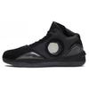 Air 2010 'Black Charcoal' Men's 387358-001