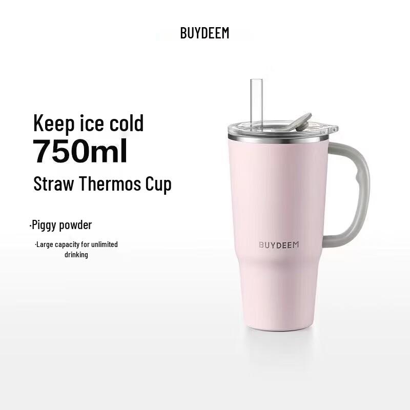Buydeem DS57 316L Stainless Steel Insulated Straw Tumbler