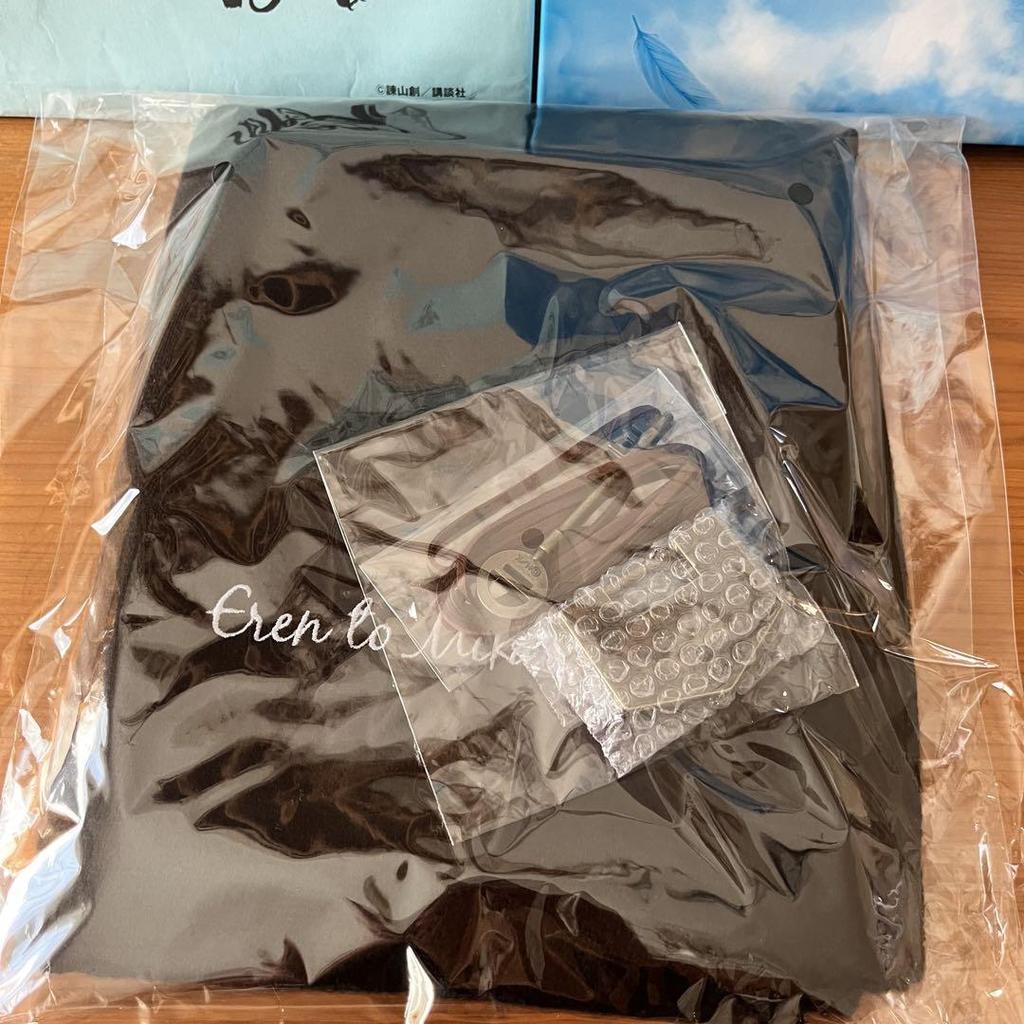 [USED] Attack on Titan FLY Reproduction Art Collection