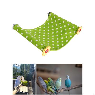 Oiseaux – Jouets pour oiseaux