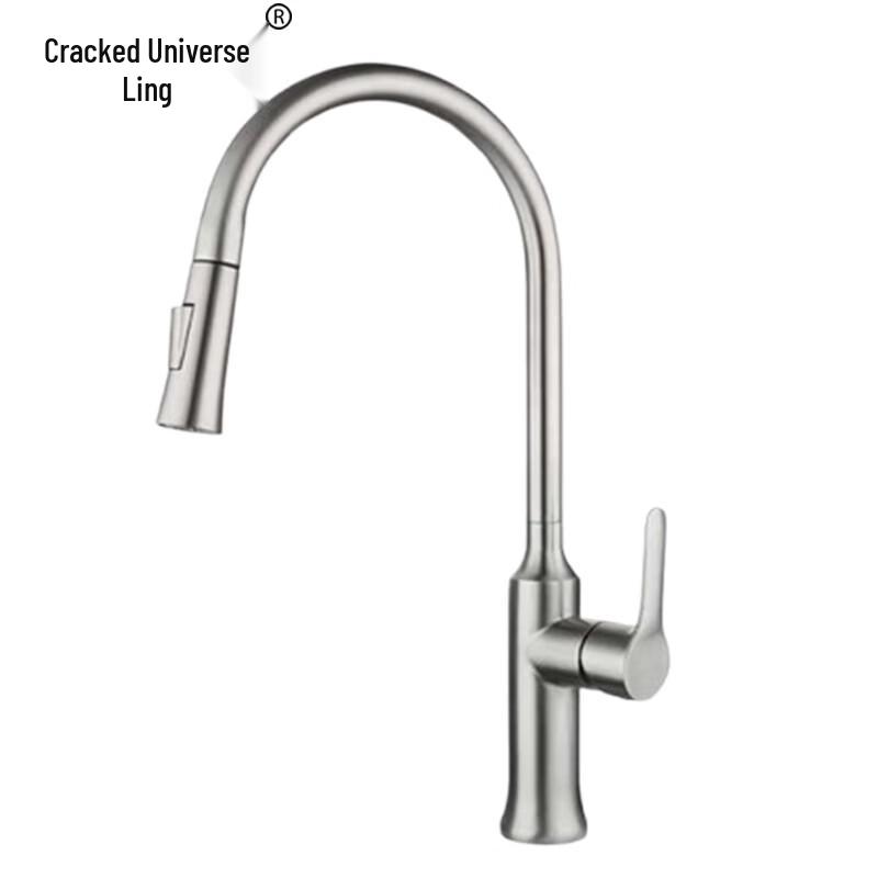 Stainless Steel Kitchen Pull-out Swivel Faucet