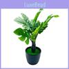 Artificial Green Plant Pot With Leaves For Home Decor And Office Display