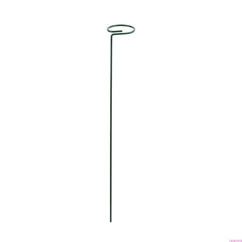 Garden Support Stake Ring Metal Garden Plant Supports Single Stem Shrub Holder