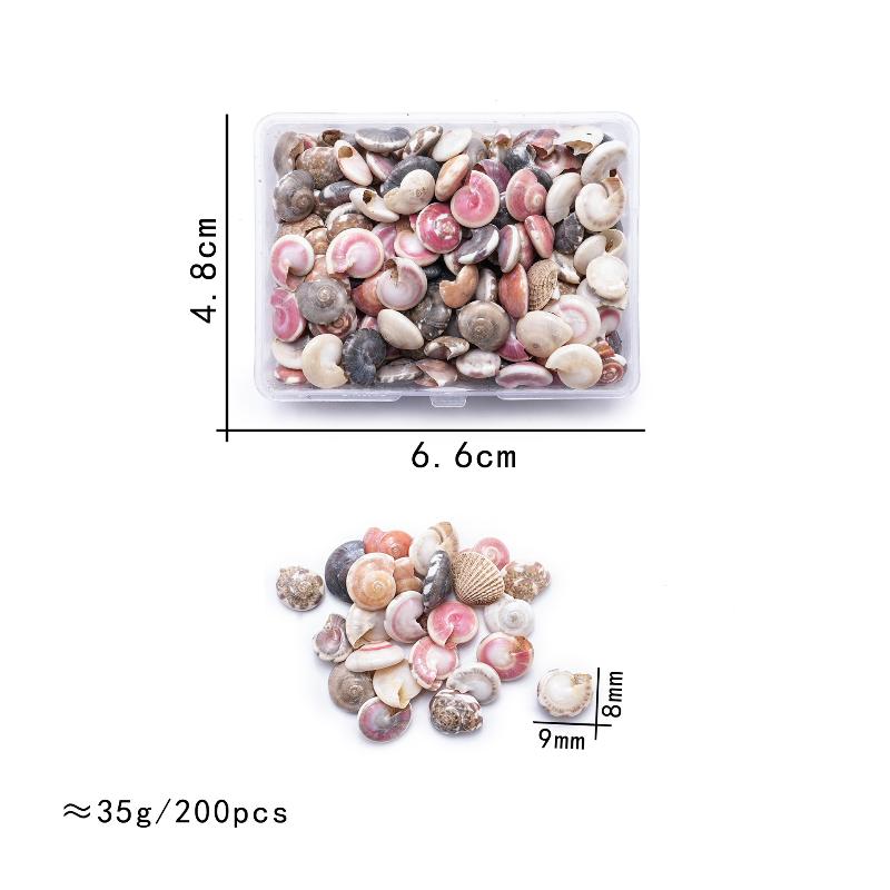 

1 Коробка Морские Ракушки Спиральные Ракушки Крошечные Океанские Спиральные Морские Ракушки Поделки Украшение для Аквариума Ландшафтные Аксессуары Реквизит для Фотографии