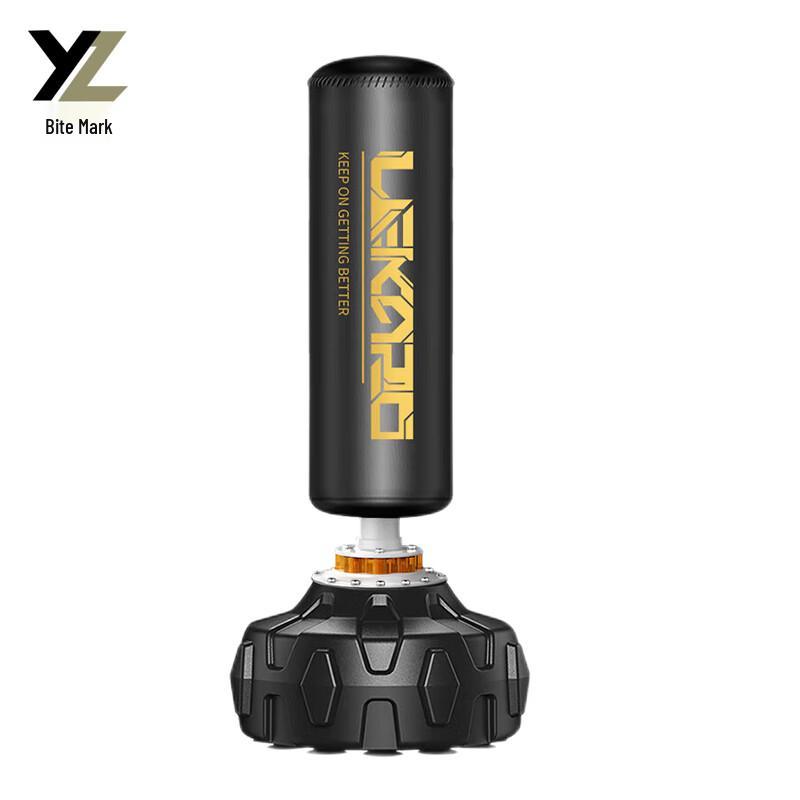 Punching Bag with Gloves Set