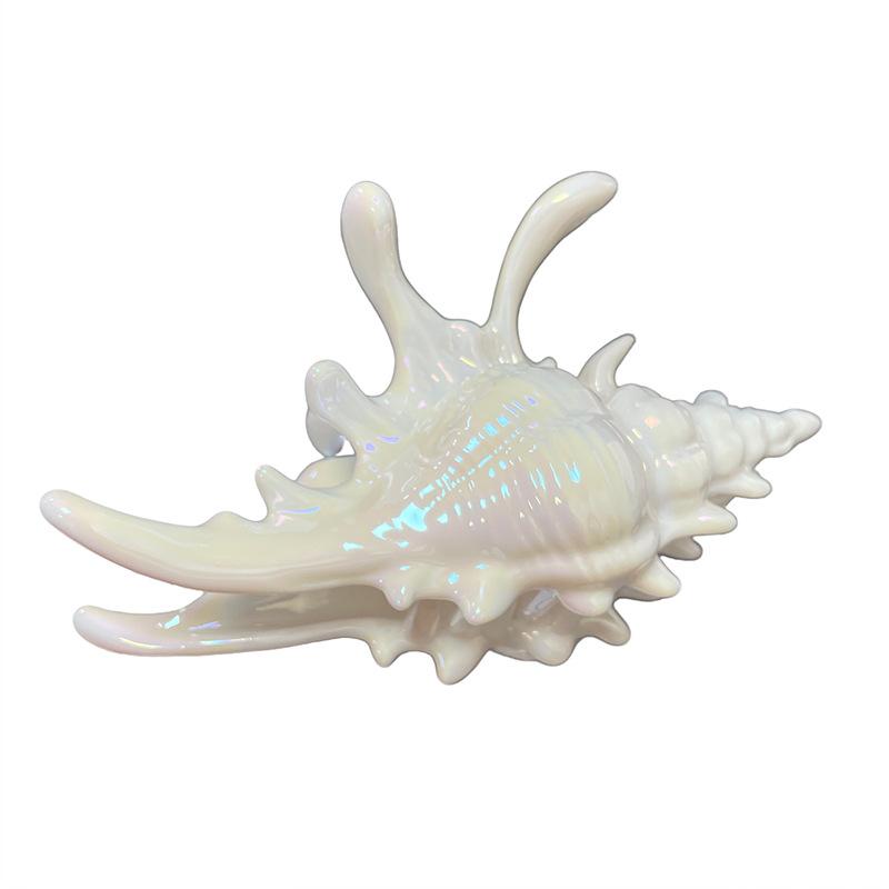 Seaside Vacation Style Conch Claw Clip Summer Beach Style Shark Clip 2025 New High-end Hair Clip Hair Accessory