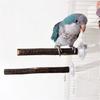 3pack Portable Parakeets Grinding Stick Training Toy Strong Suction Cup Bird for Small to Medium